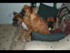 There is no way I can fit on the chair now